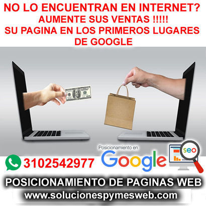 Posicionamiento de Paginas Web Bogota